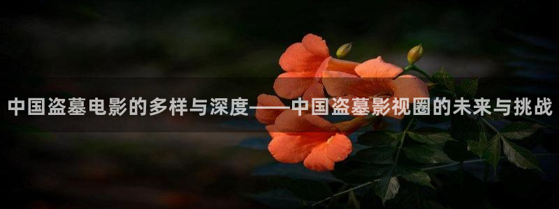 极速影：中国盗墓电影的多样与深度——中国盗墓影视圈的未来与挑战