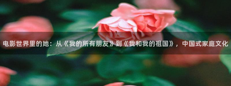 极速影院在线电影免费