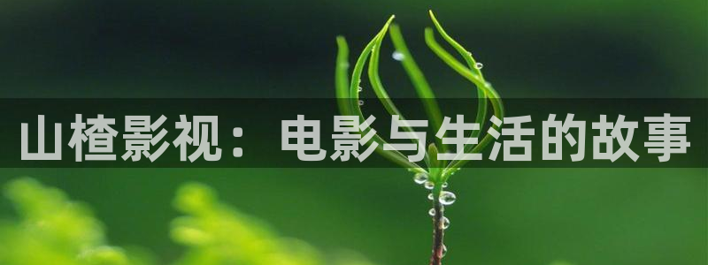 手机极速影院