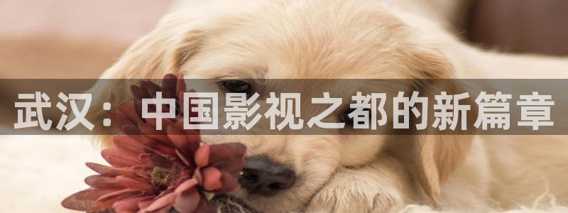 极速影院速看影院