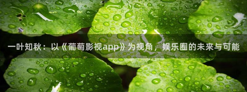 极速影院免费看片
