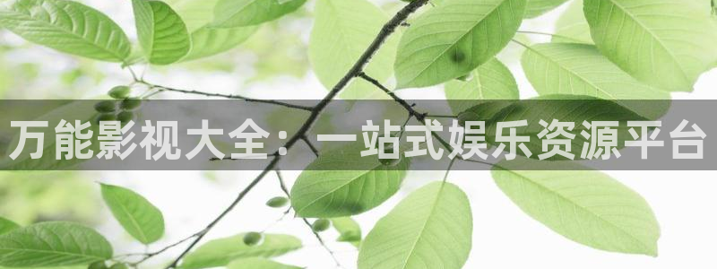 极速影视在线看电视