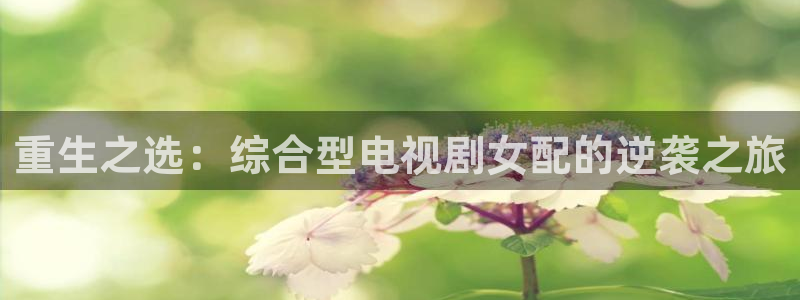 4480免费观看电视剧大全在线观看极速影院
